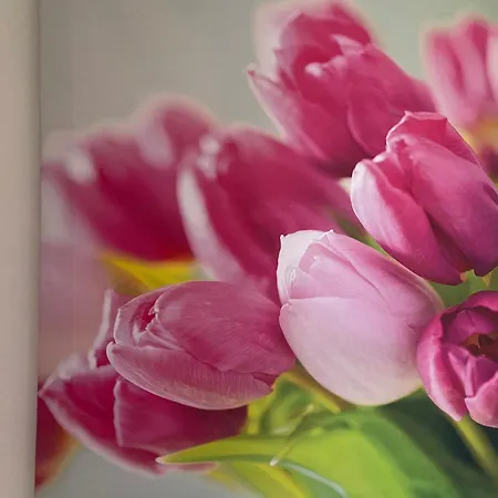 Appartamento Four Flowers