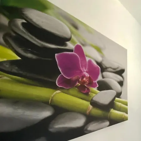 Four Flowers Apartment