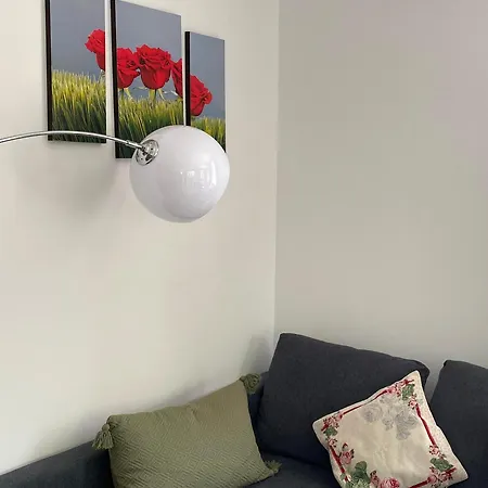 Four Flowers * Siófok