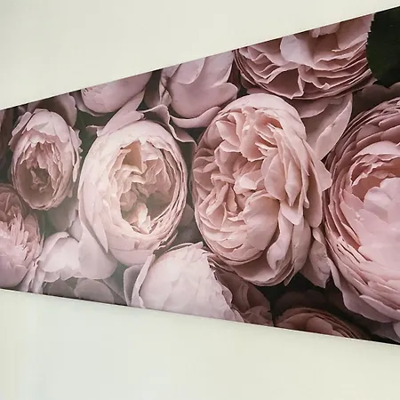 Four Flowers Siófok