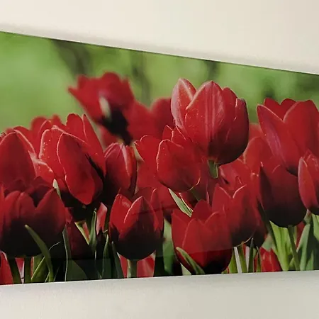 Four Flowers Apartment
