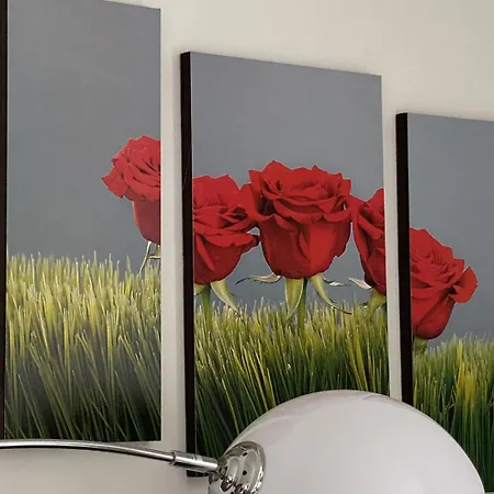 Four Flowers * Siofok