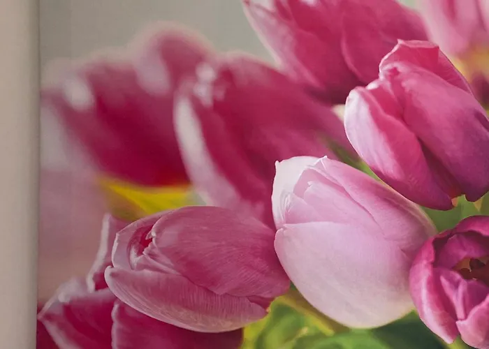 아파트 Four Flowers