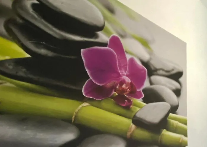 Four Flowers 아파트