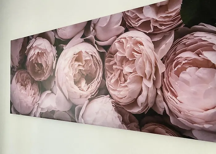 Four Flowers 시오포크