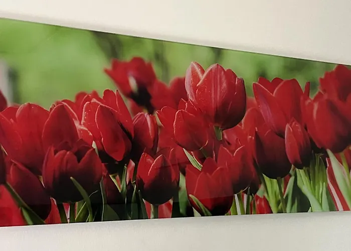 Four Flowers 아파트